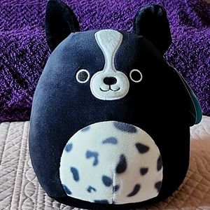 Nwt MONTY the Border Collie DOG Squishmallows 8" Black & White New!